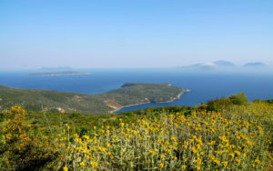 ammouso bay lefkada